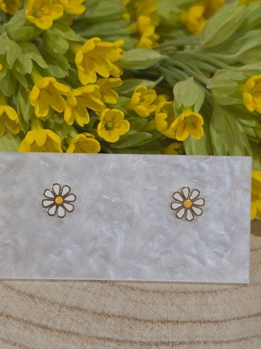 BOUCLES D'OREILLES