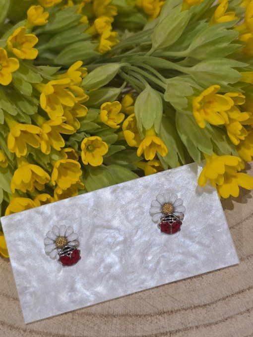 BOUCLES D'OREILLES