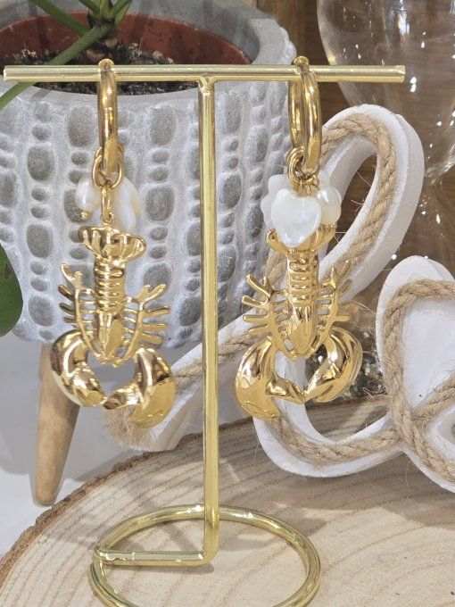 BOUCLES D'OREILLES