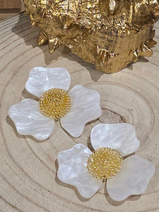 BOUCLES D'OREILLES