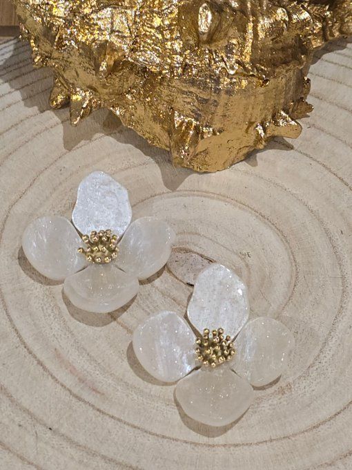 BOUCLES D'OREILLES