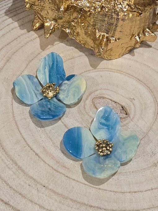BOUCLES D'OREILLES