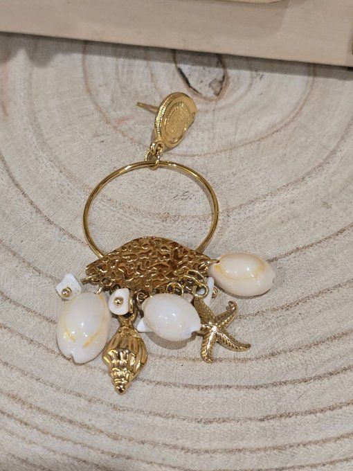 BOUCLES D'OREILLES