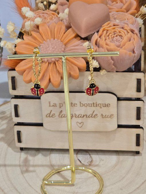 BOUCLES D'OREILLES