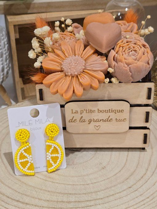 BOUCLES D'OREILLES
