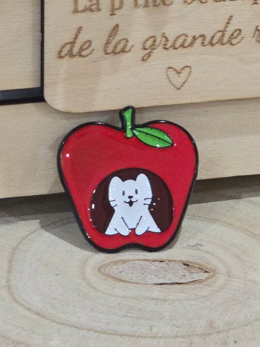 PINS
