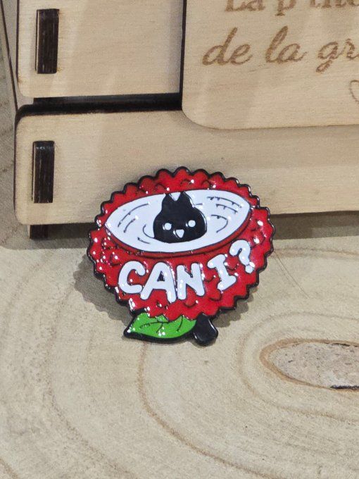 PINS
