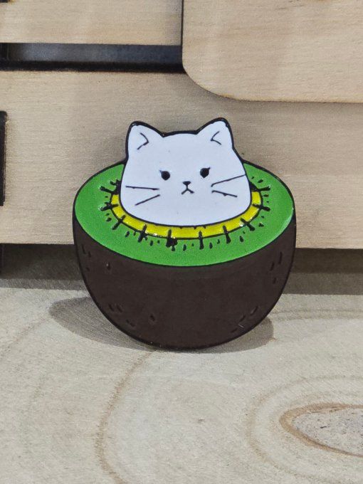 PINS
