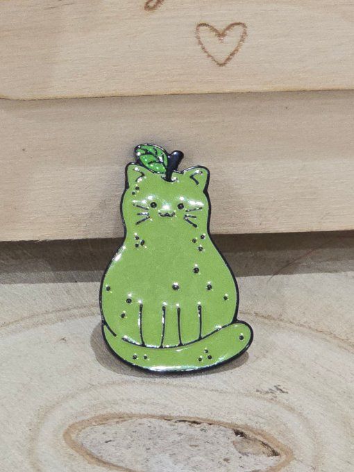 PINS