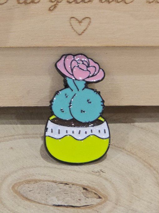 PINS