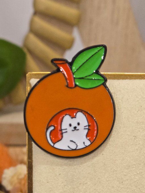 PINS