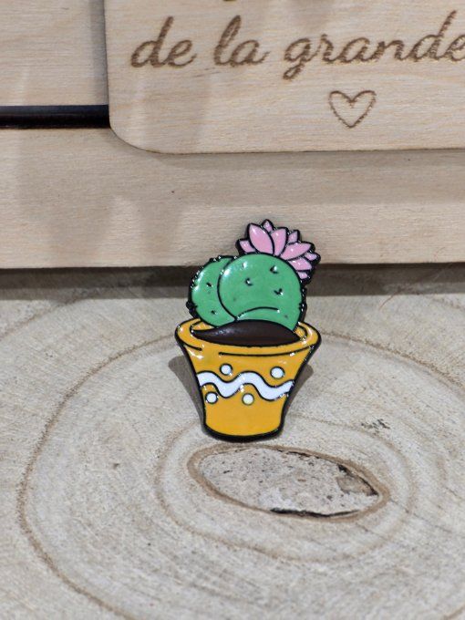 PINS
