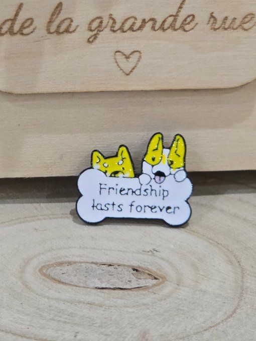 PINS