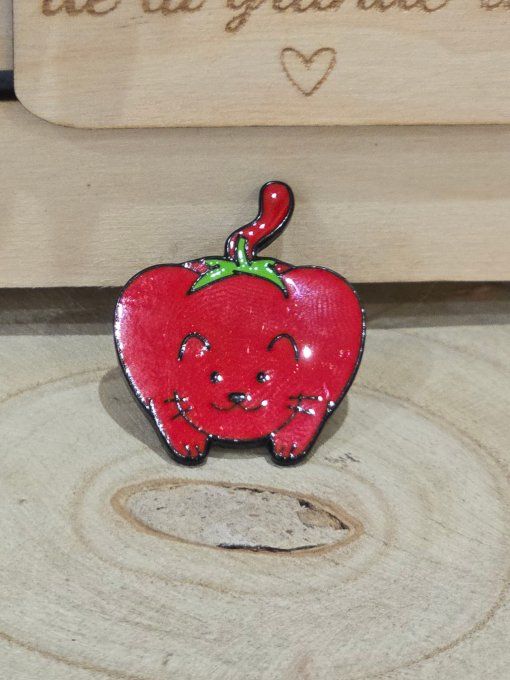 PINS