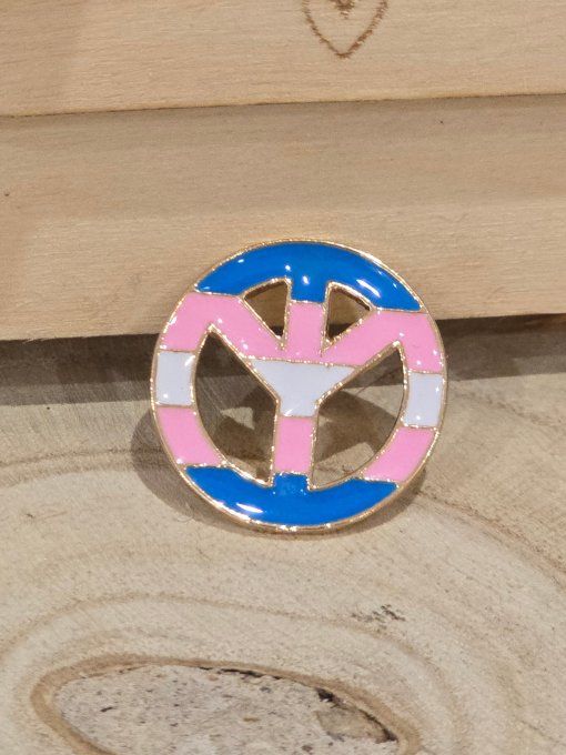 PINS