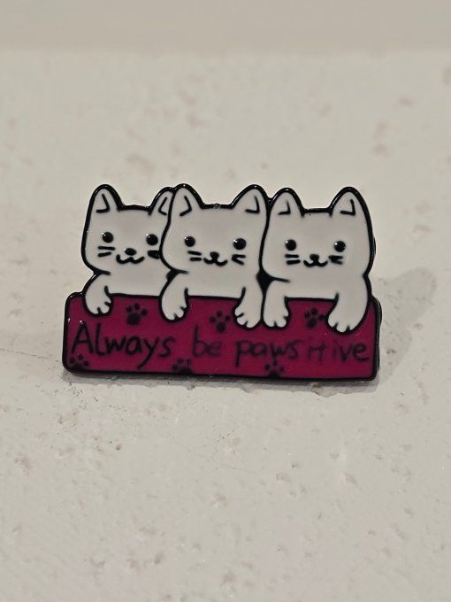 PINS