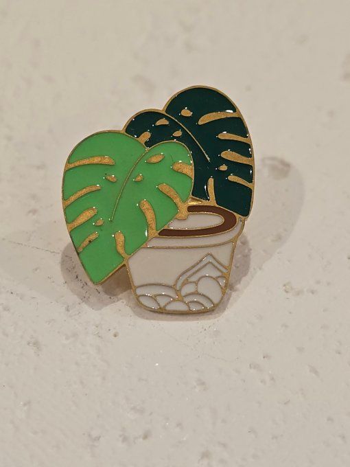 PINS