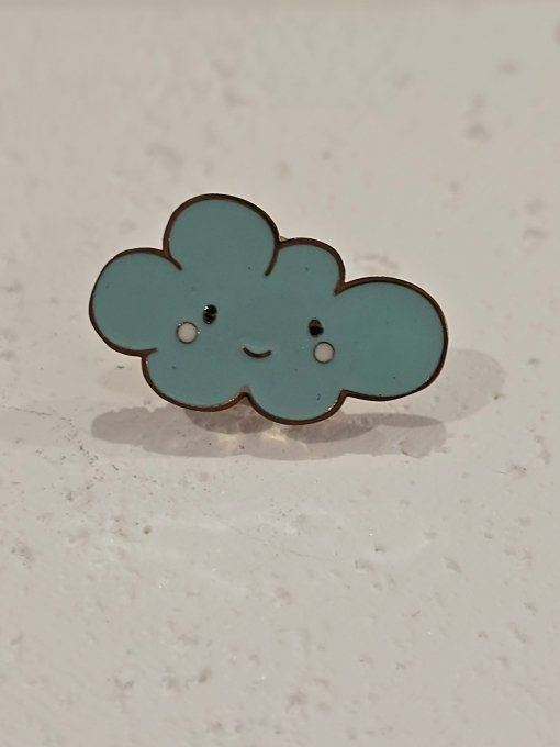 PINS