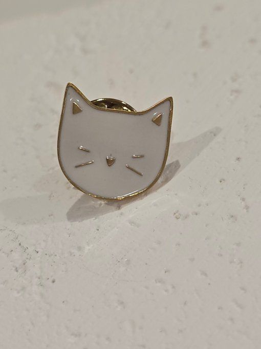 PINS