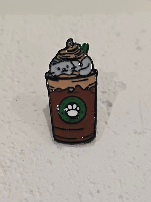 PINS