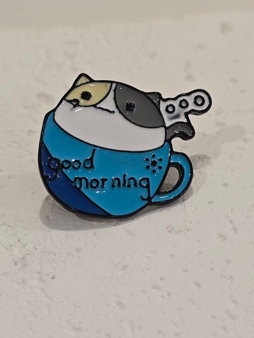PINS