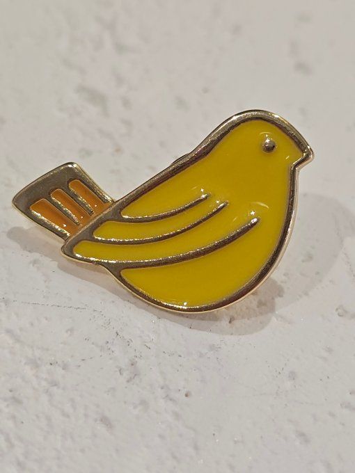 PINS