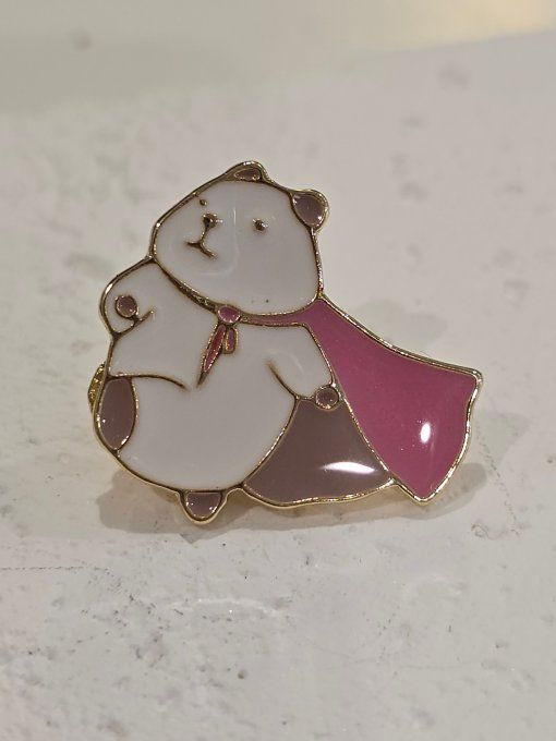 PINS