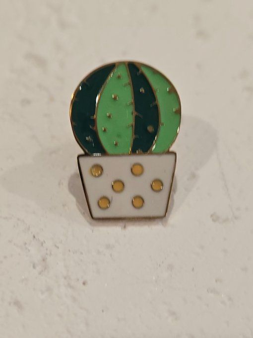 PINS