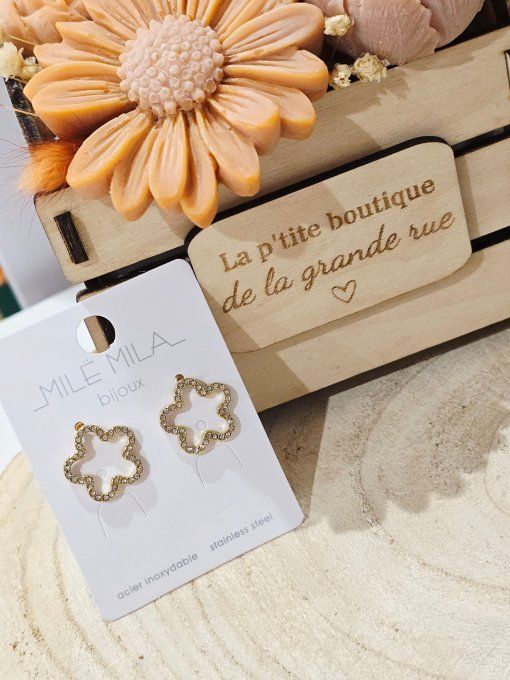 BOUCLES D'OREILLES