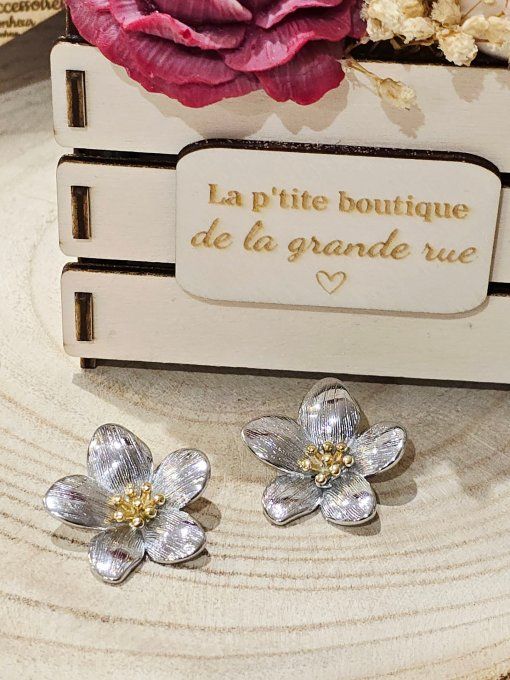 BOUCLES D'OREILLES