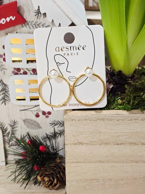 BOUCLES D'OREILLES