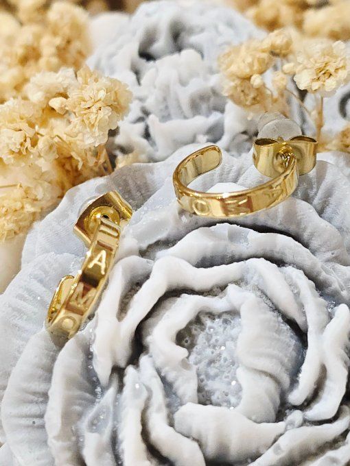 BOUCLES D'OREILLES