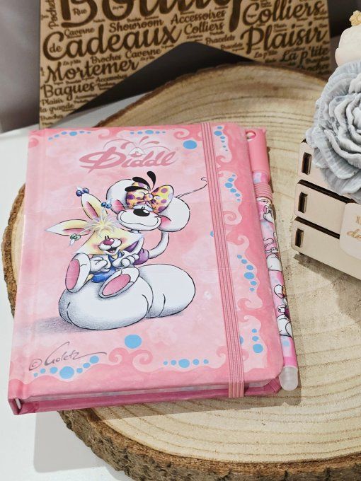 CARNET ET STYLO