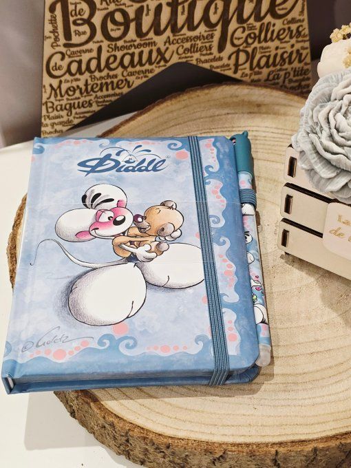 CARNET ET STYLO