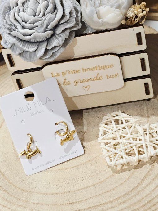 BOUCLES D'OREILLES