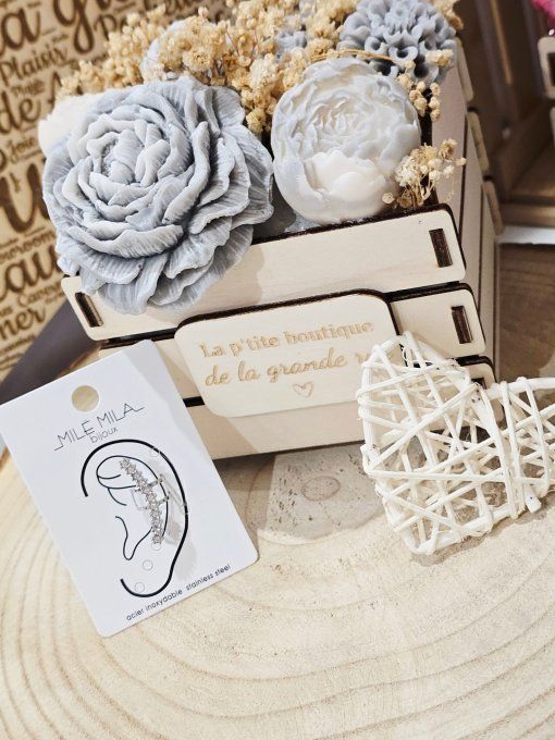 BOUCLES D'OREILLES