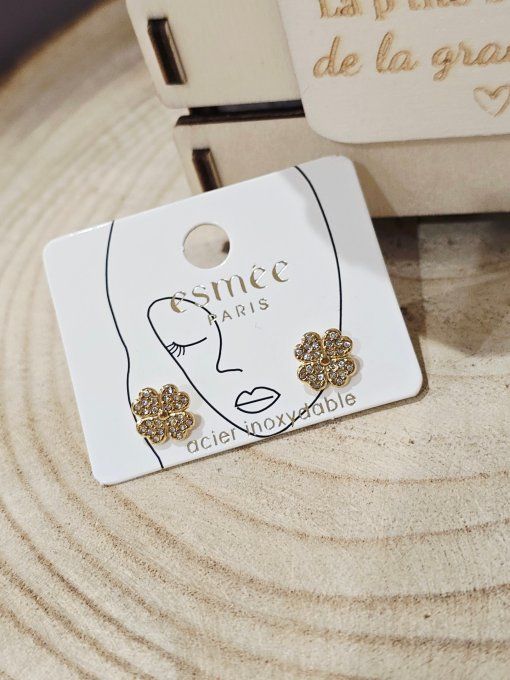 BOUCLES D'OREILLES