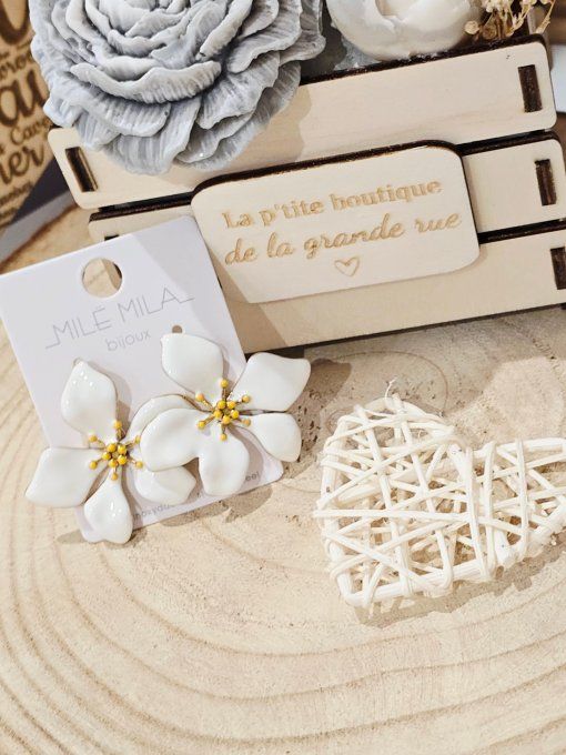 BOUCLES D'OREILLES