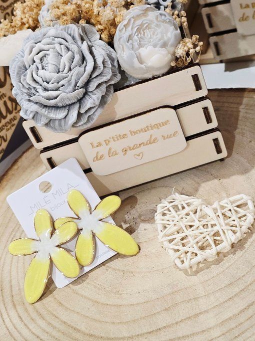 BOUCLES D'OREILLES