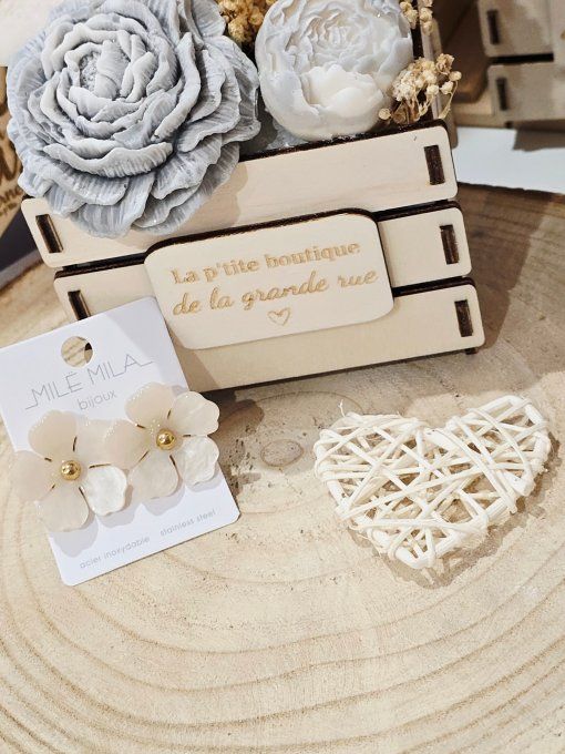 BOUCLES D'OREILLES