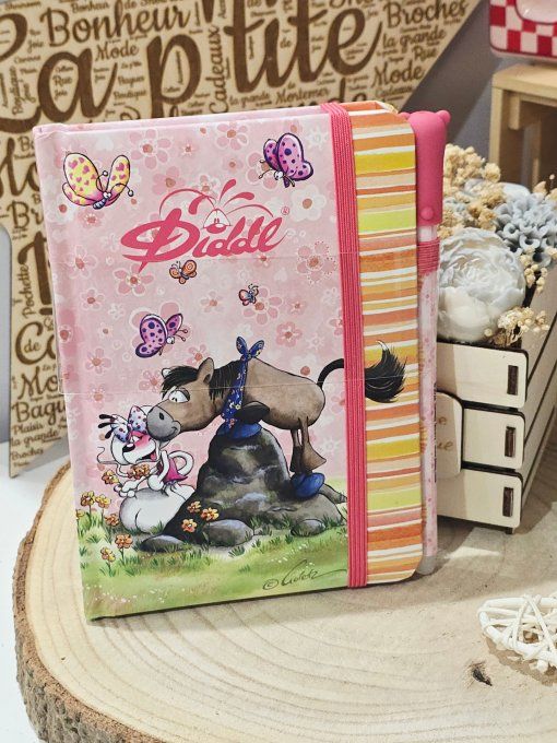 CARNET ET STYLO