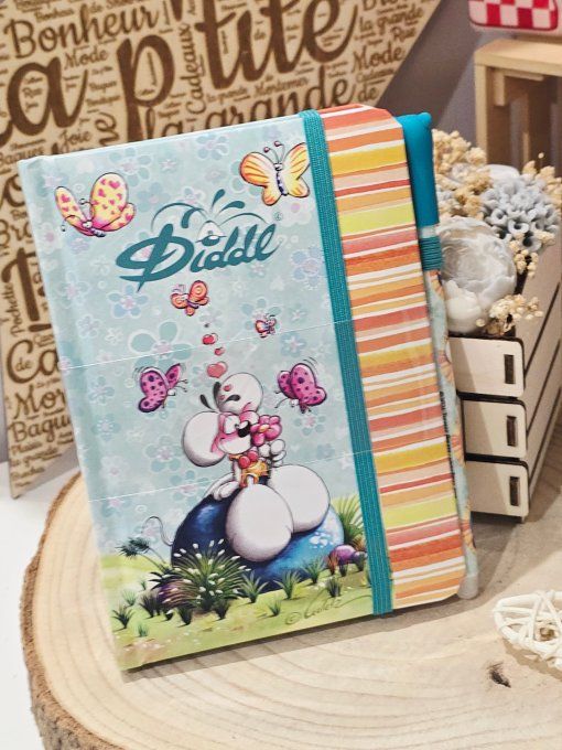 CARNET ET STYLO