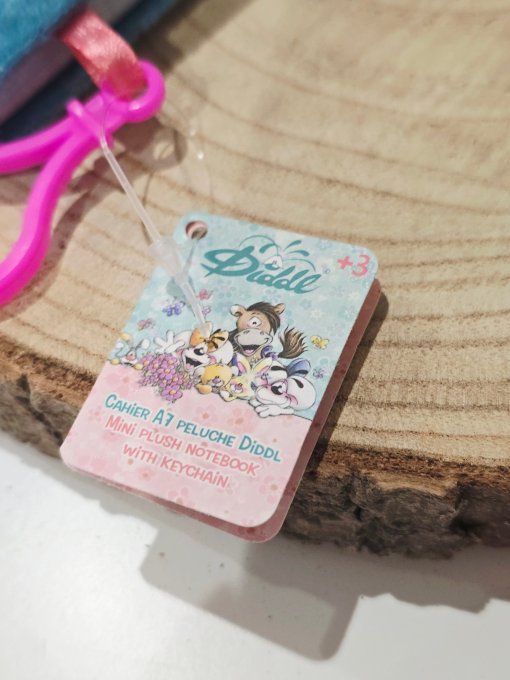 CARNET PORTE CLES