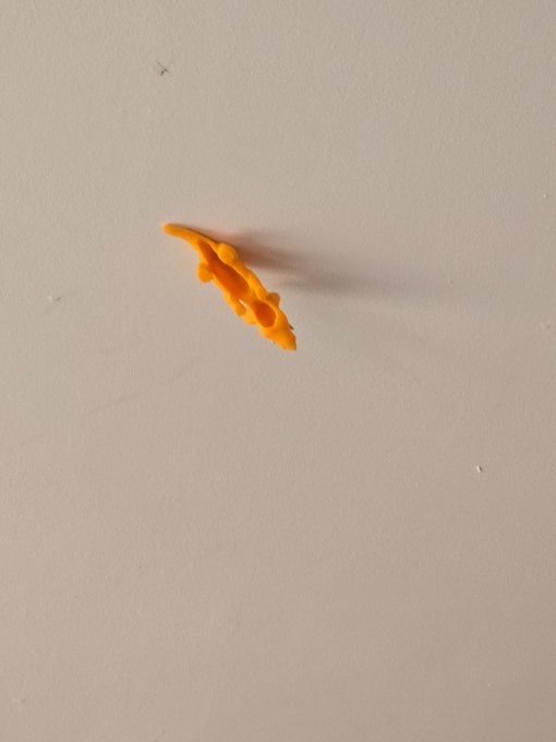 DINO VOLANT