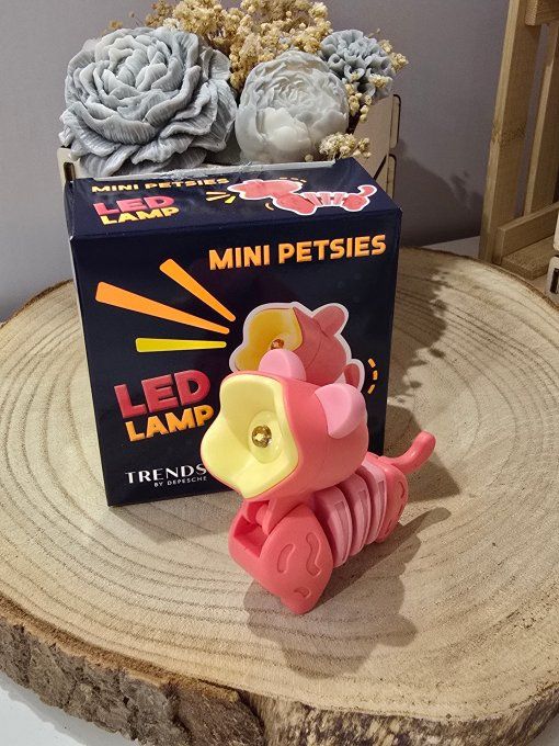 LAMPE DE LECTURE