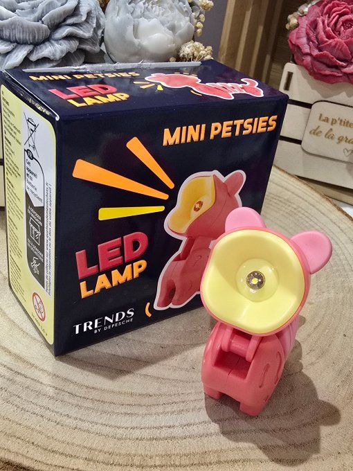 LAMPE DE LECTURE
