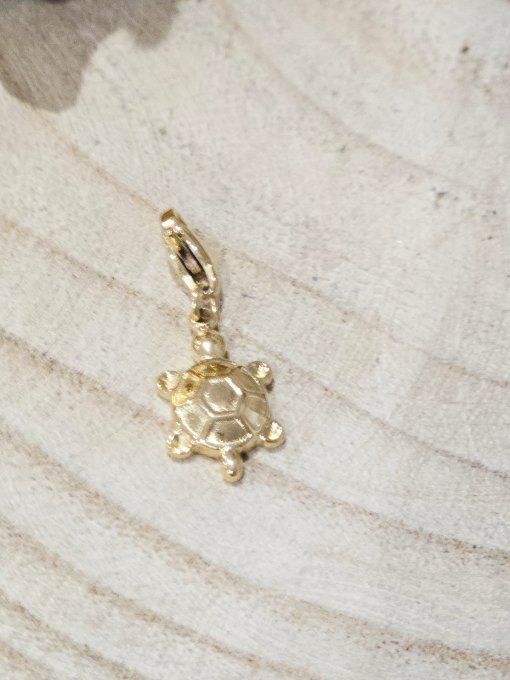 CHARM