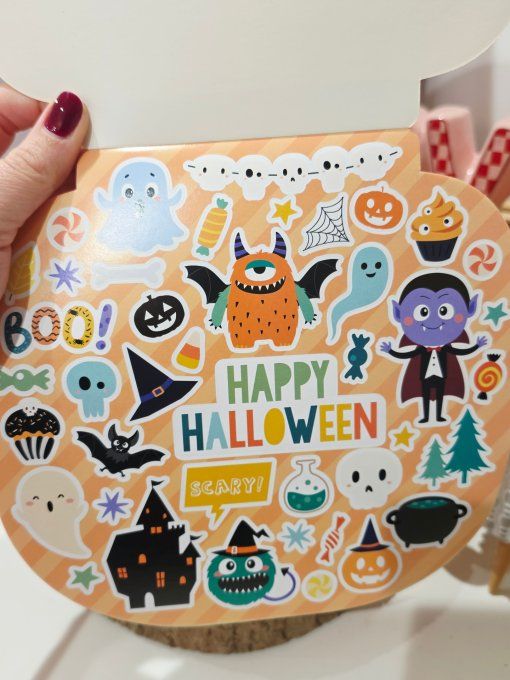 CARNET DE STICKERS