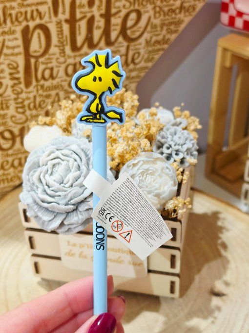 CRAYON