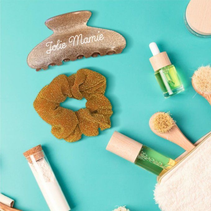 PINCE A CHEVEUX ET CHOUCHOU